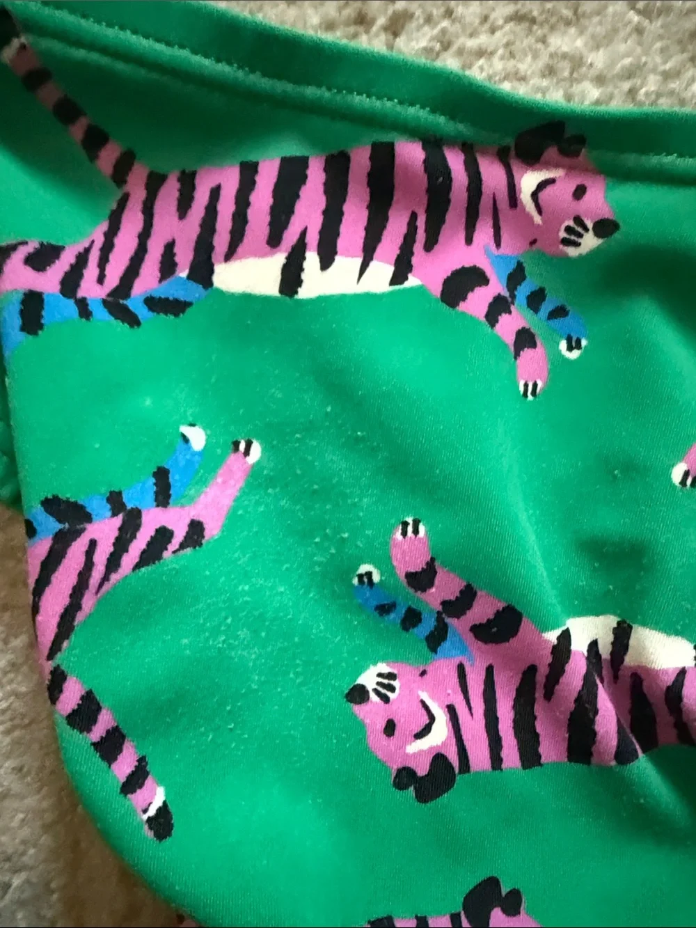 Hanna Andersson Green Tiger Print Girls' Two-Piece Swim Set size 4